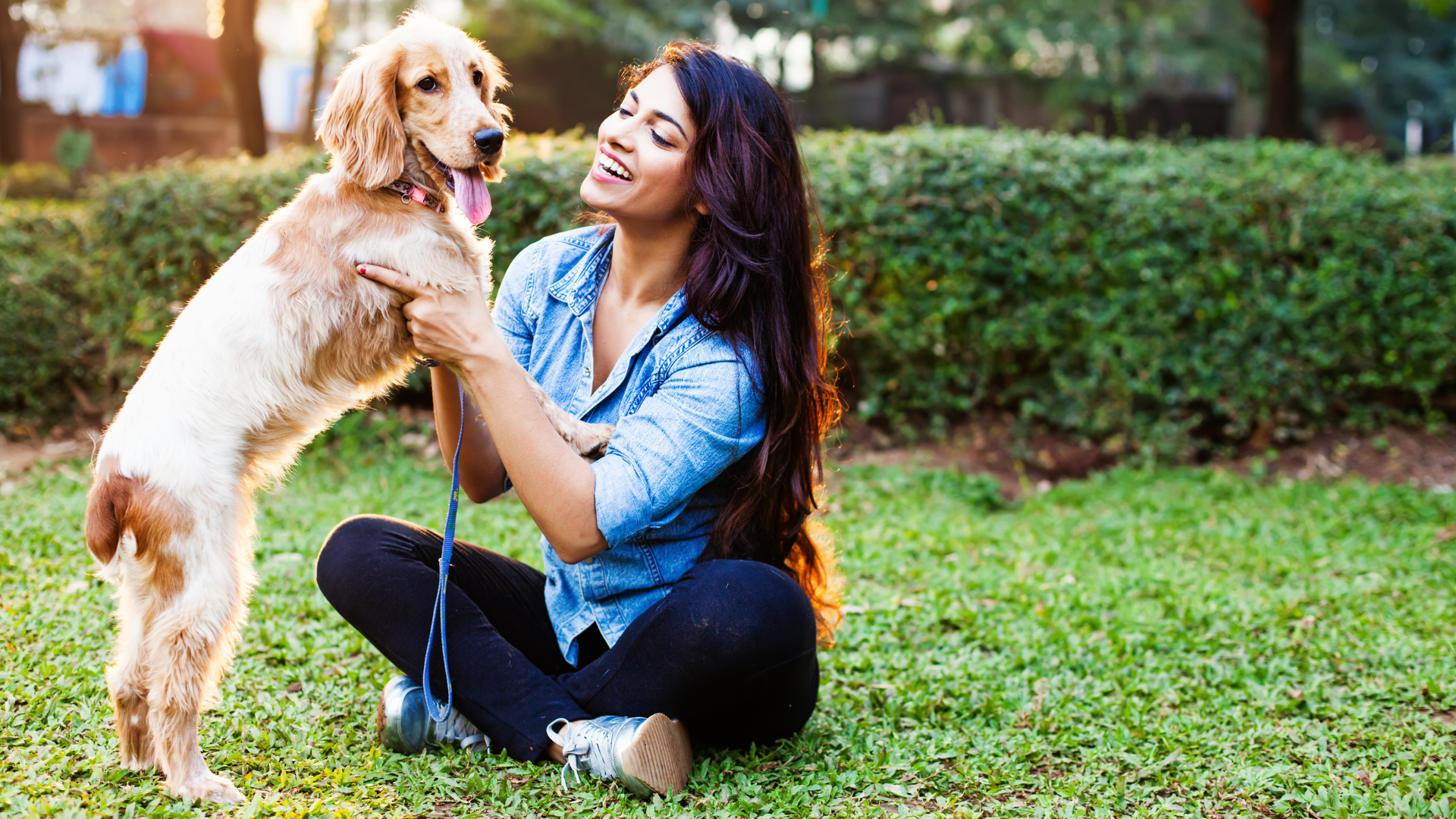 Farmers Union Agency Pet Insurance