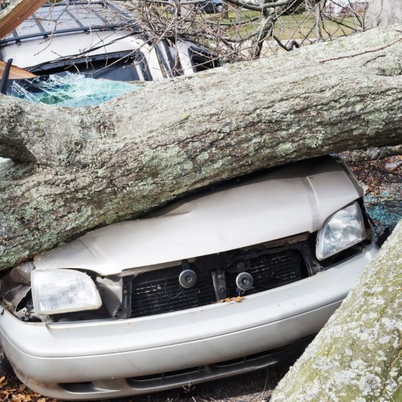 Auto Weather Damage One Auto Weather Damage One