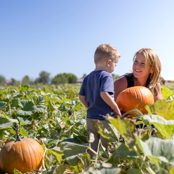 Fall Harvest Image Six Fall Harvest Image Six