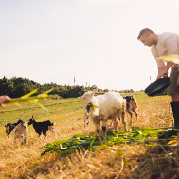 Family Farm Image Family Farm Image
