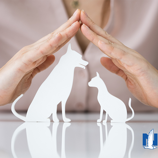 Nationwide Pet Insurance Email Image