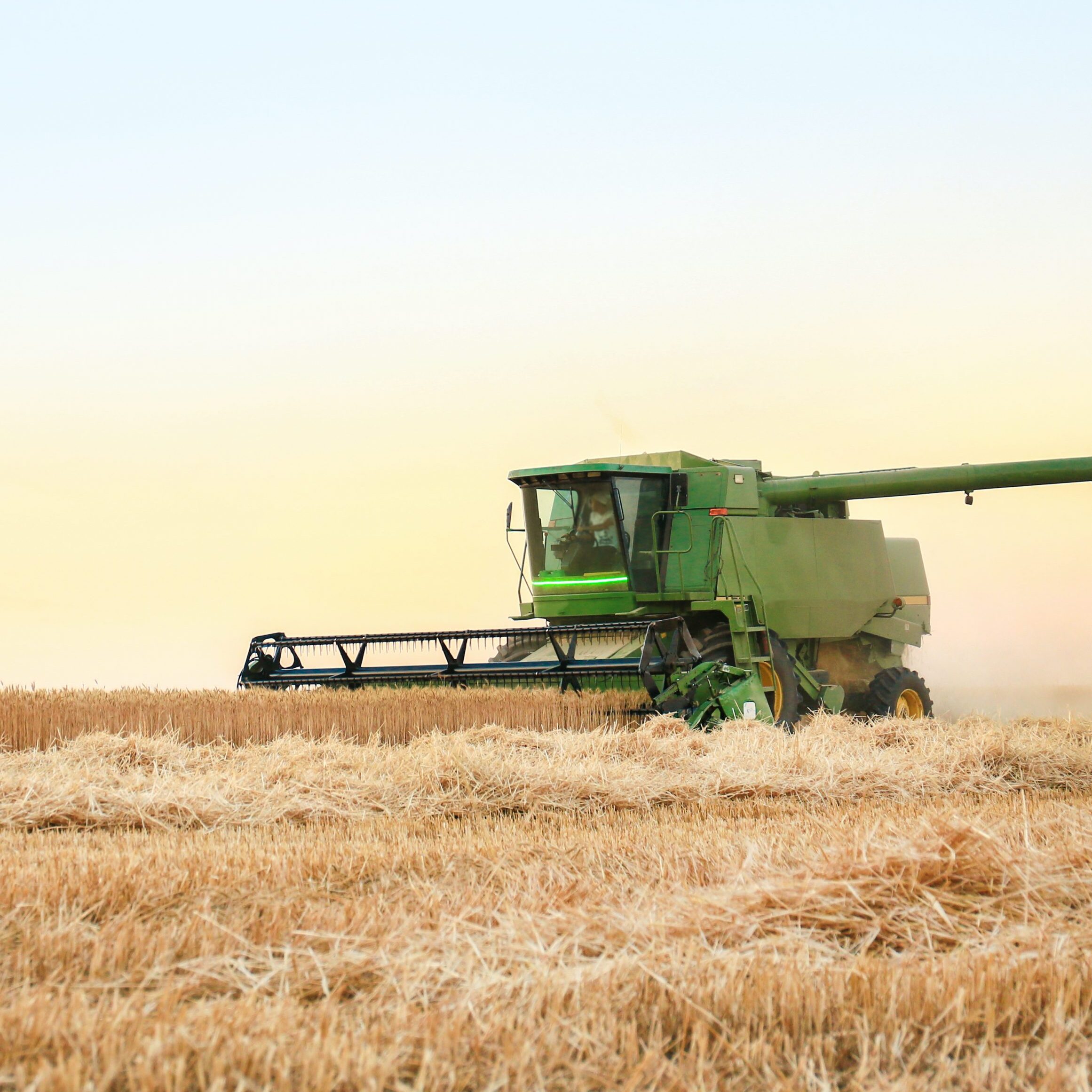 Combine harvester in wheat field