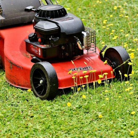 lawn-mower-2408925_1280-450x450